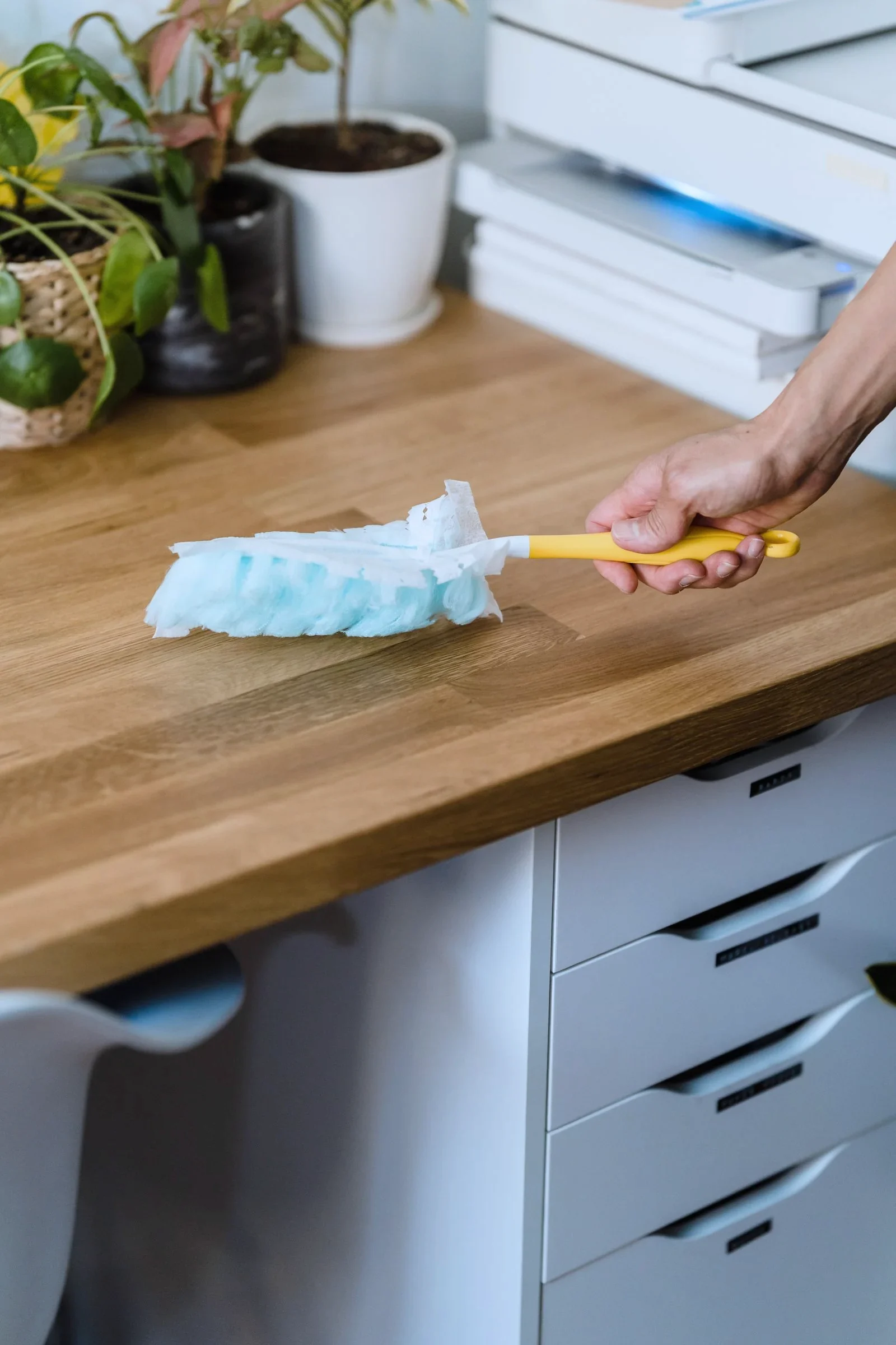 Dusting a worktop with potted plants